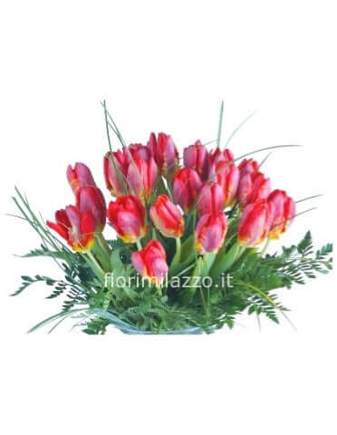 Bouquet mazzo tulipani unico colore